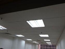 International Plaza (D2), Office #627833181